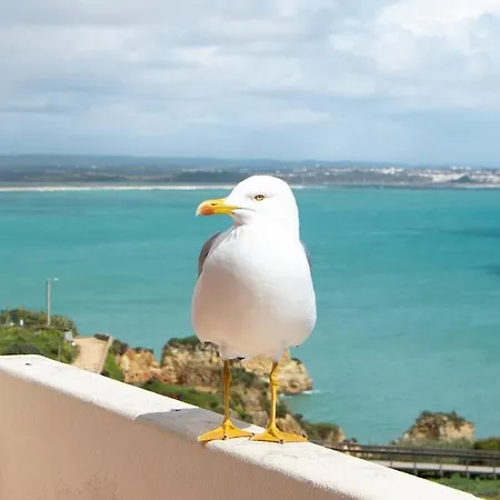 New! By The With Amazing Seaview شقة *